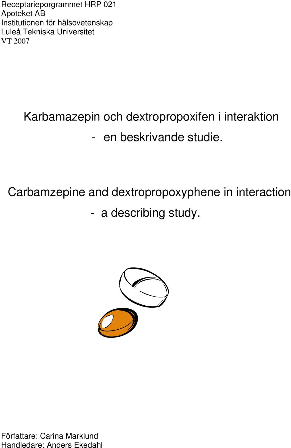 interaktion - en beskrivande studie.