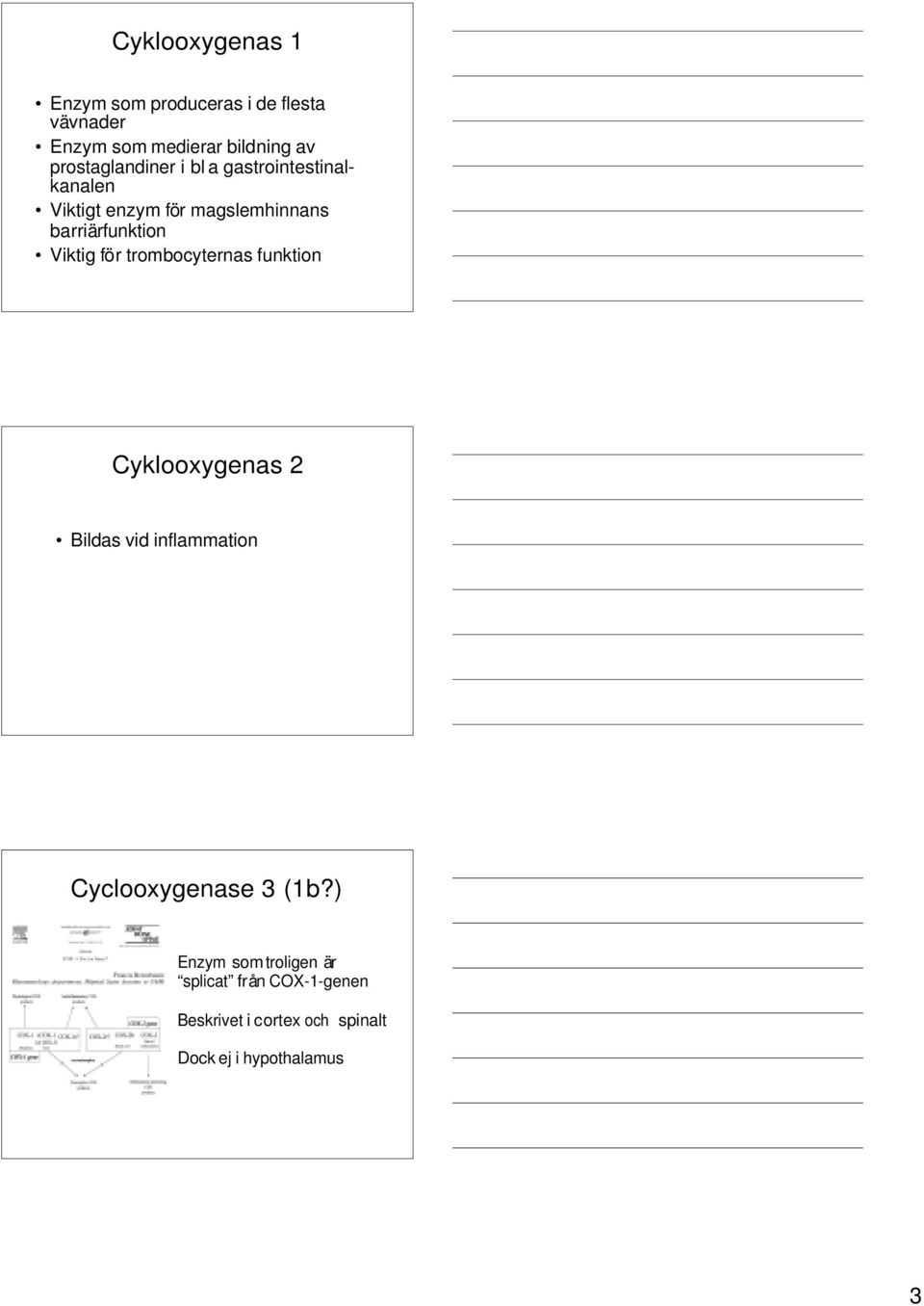 Viktig för trombocyternas funktion Cyklooxygenas 2 Bildas vid inflammation Cyclooxygenase 3 (1b?