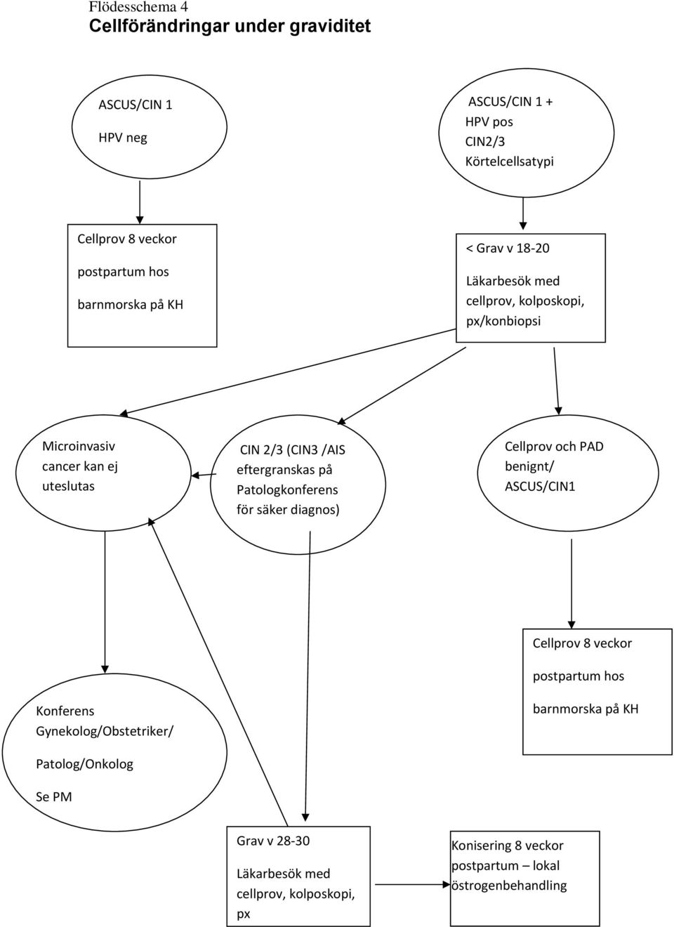 eftergranskas på Patologkonferens för säker diagnos) och PAD benignt/ ASCUS/CIN1 Konferens Gynekolog/Obstetriker/ Patolog/Onkolog Se PM 8