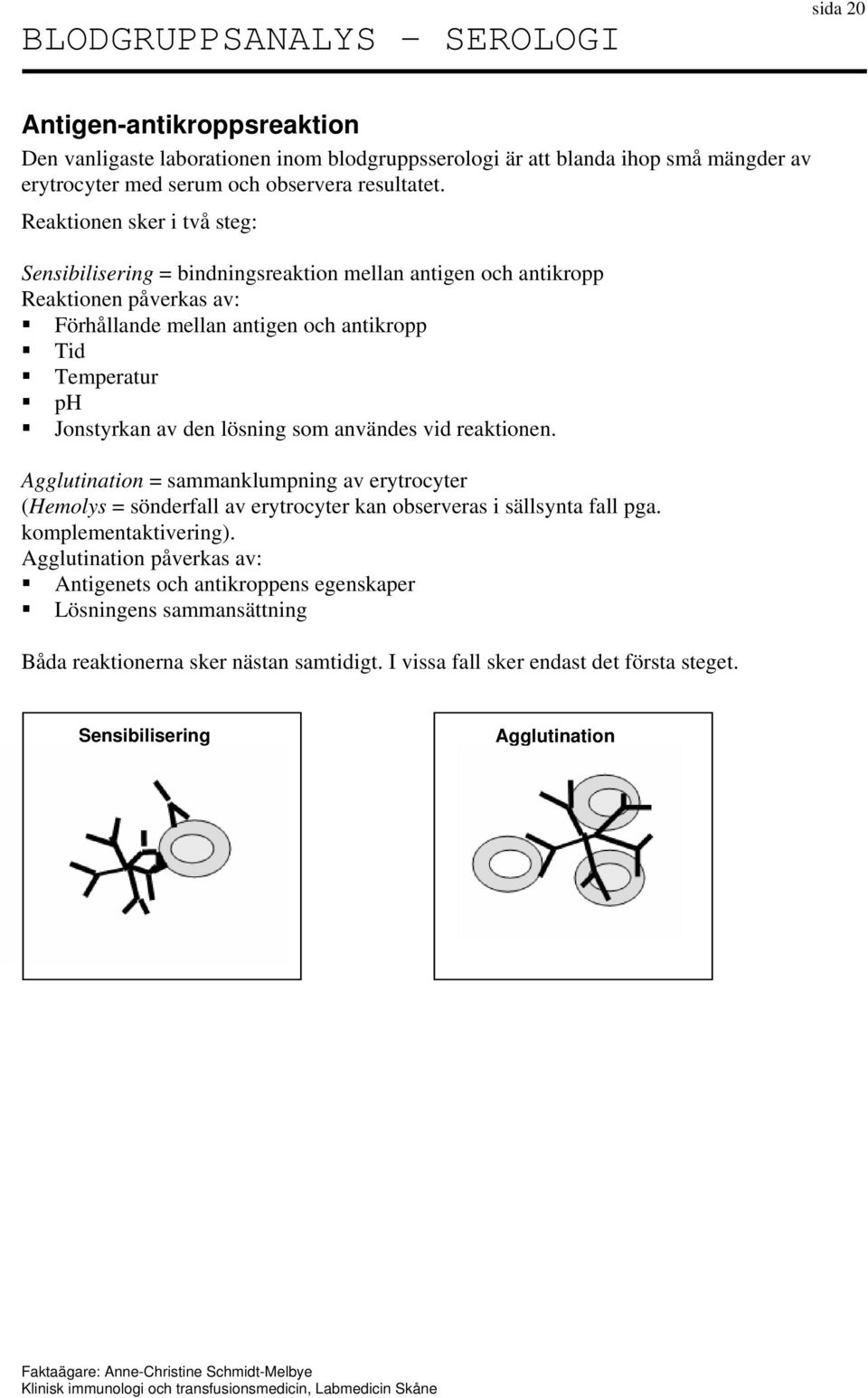 lösning som användes vid reaktionen. Agglutination = sammanklumpning av erytrocyter (Hemolys = sönderfall av erytrocyter kan observeras i sällsynta fall pga. komplementaktivering).