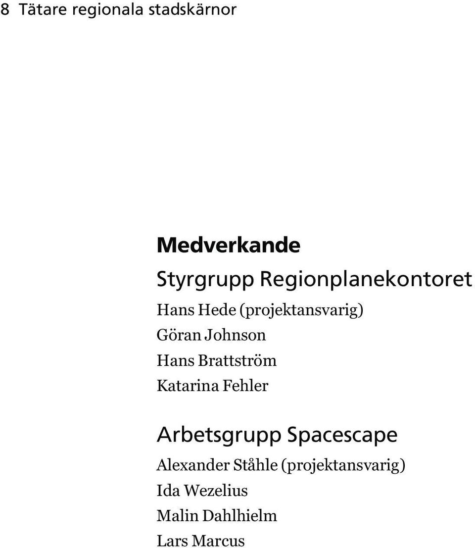 Hans Brattström Katarina Fehler Arbetsgrupp Spacescape