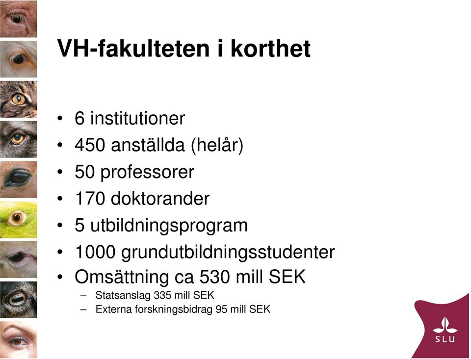 utbildningsprogram 1000 grundutbildningsstudenter