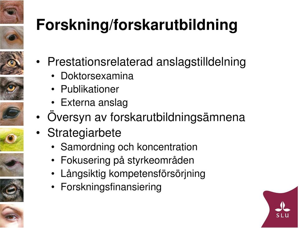 forskarutbildningsämnena Strategiarbete Samordning och koncentration