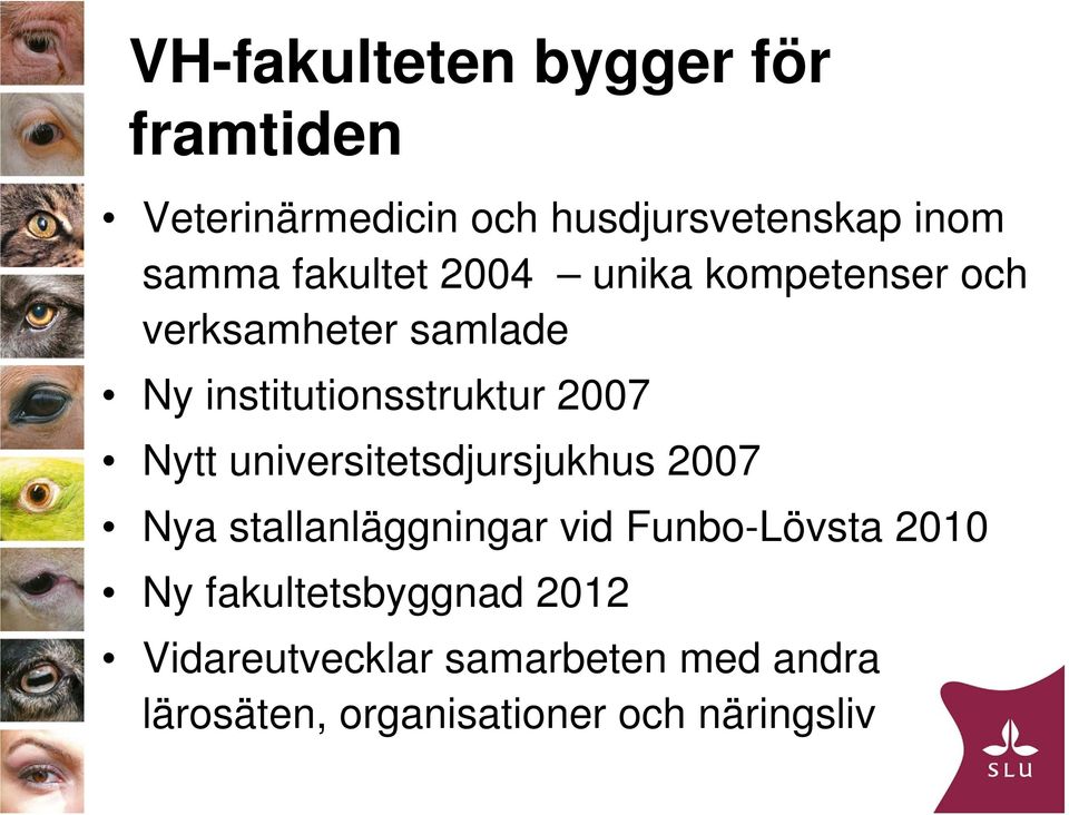 Nytt universitetsdjursjukhus 2007 Nya stallanläggningar vid Funbo-Lövsta 2010 Ny