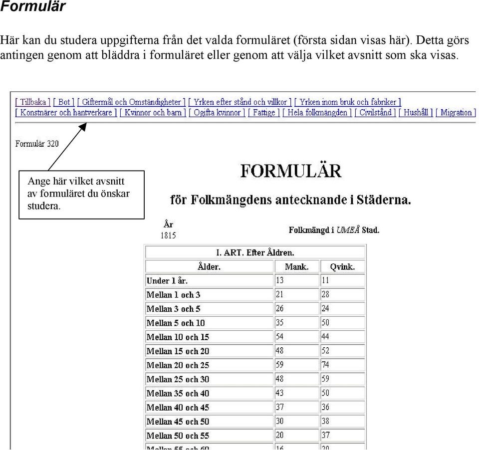 Detta görs antingen genom att bläddra i formuläret eller genom