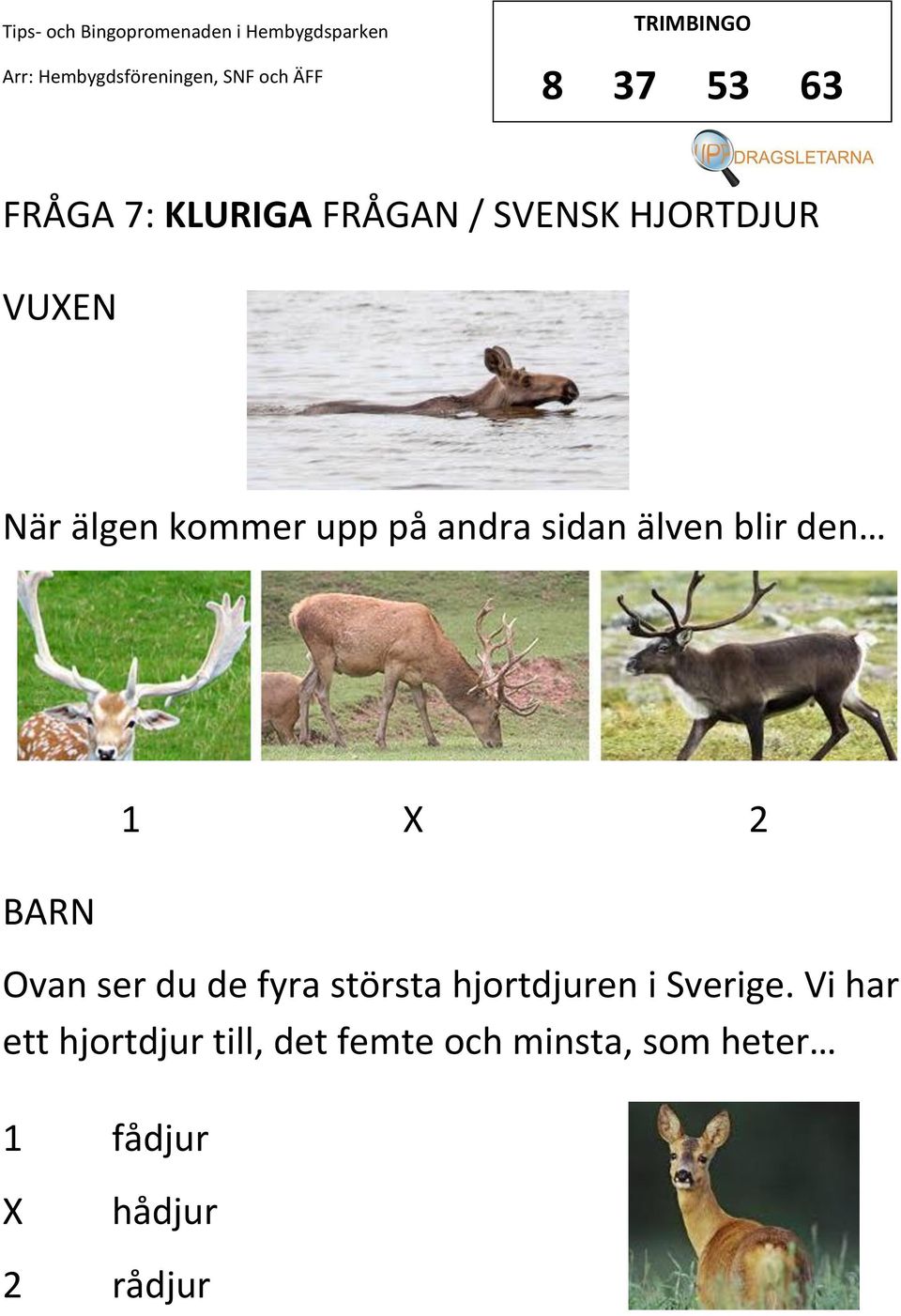 ser du de fyra största hjortdjuren i Sverige.