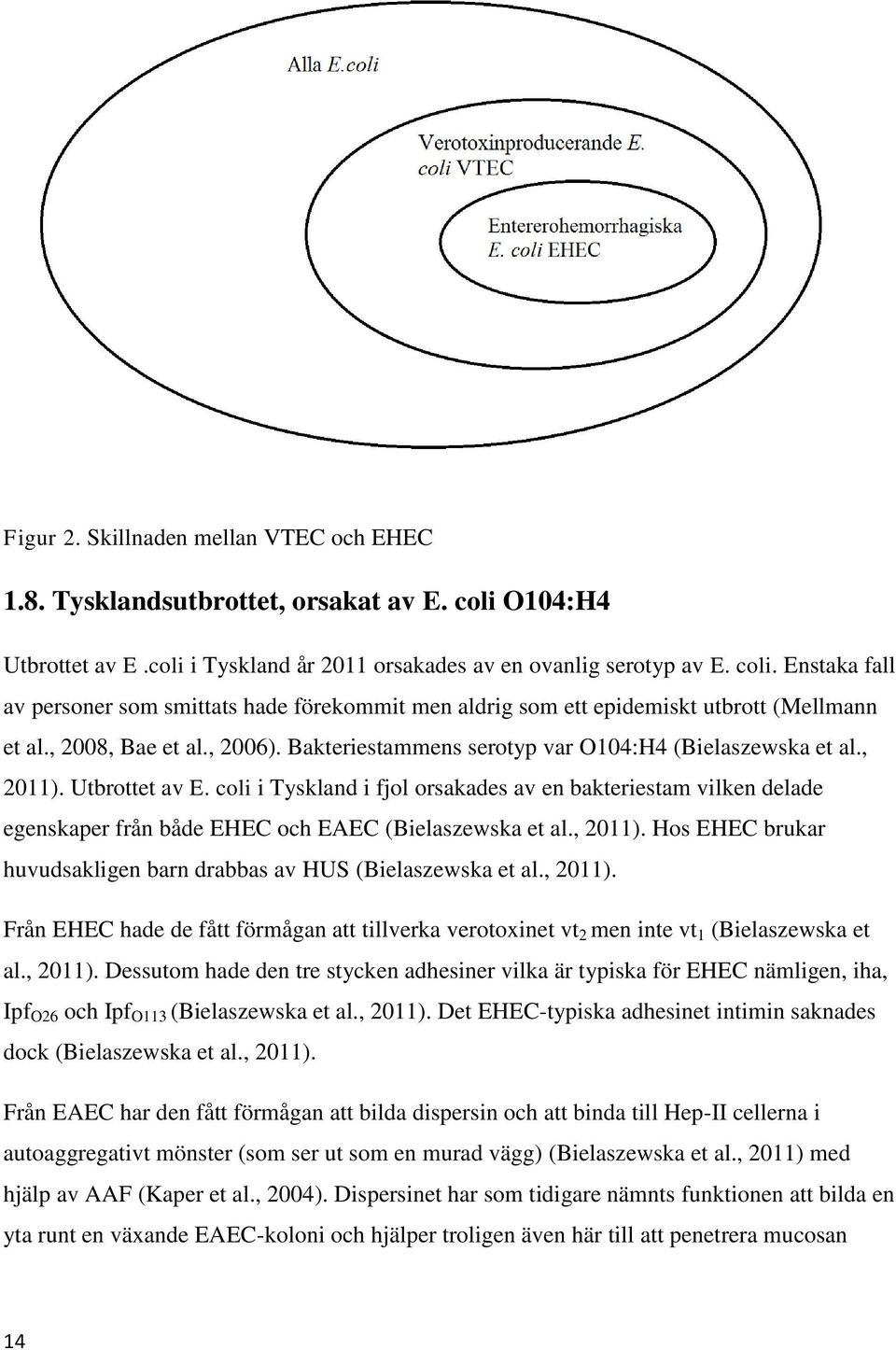 coli i Tyskland i fjol orsakades av en bakteriestam vilken delade egenskaper från både EHEC och EAEC (Bielaszewska et al., 2011). Hos EHEC brukar huvudsakligen barn drabbas av HUS (Bielaszewska et al.