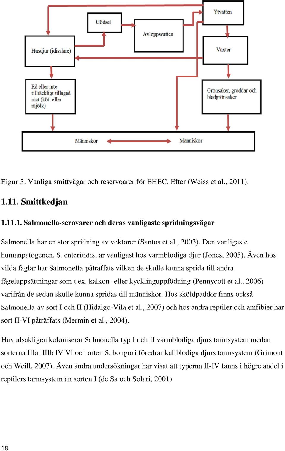 Även hos vilda fåglar har Salmonella påträffats vilken de skulle kunna sprida till andra fågeluppsättningar som t.ex. kalkon- eller kycklinguppfödning (Pennycott et al.