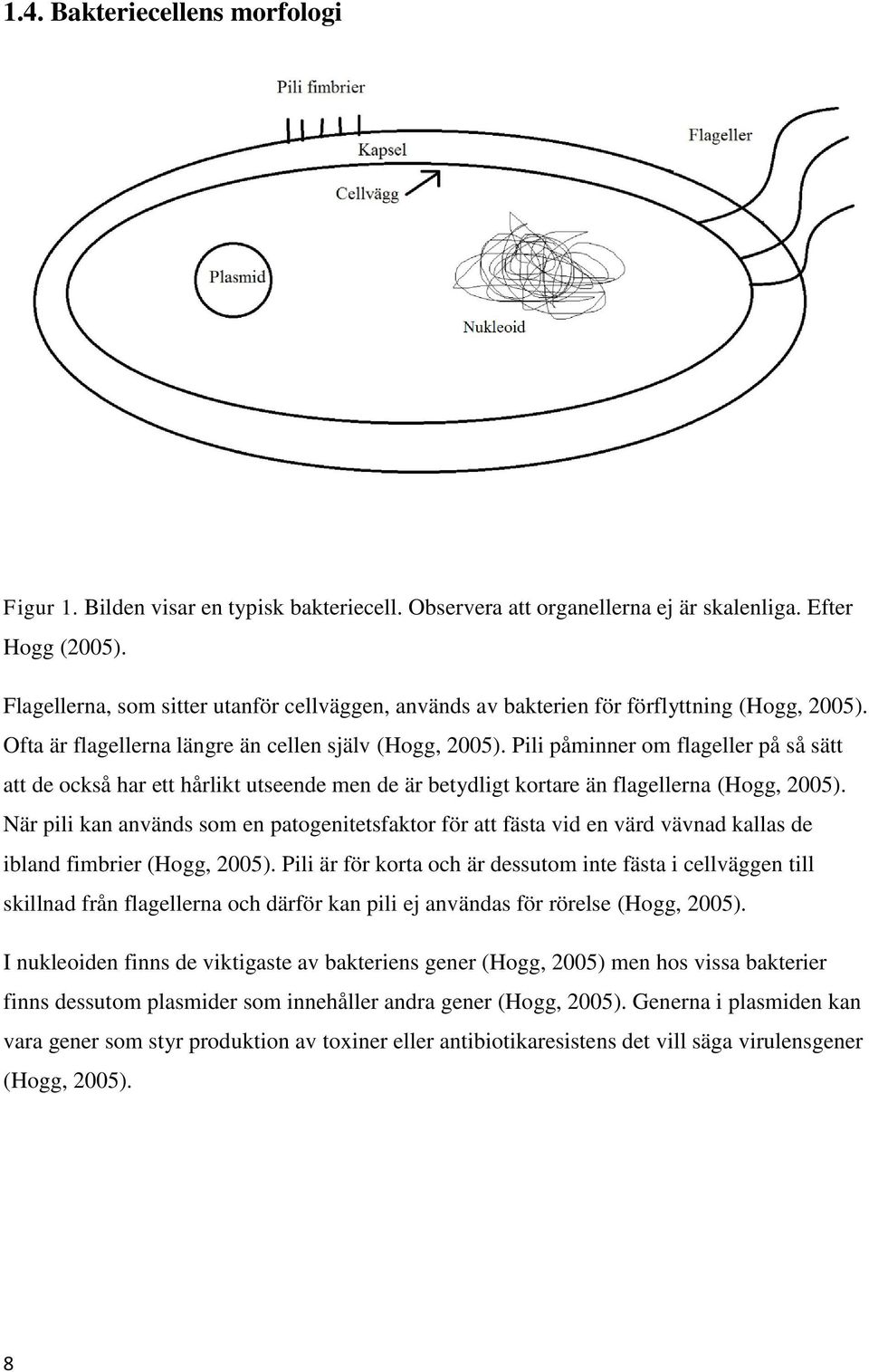 Pili påminner om flageller på så sätt att de också har ett hårlikt utseende men de är betydligt kortare än flagellerna (Hogg, 2005).