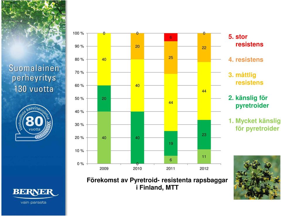 2010 2011 2012 Förekomst av Pyretroid- resistenta rapsbaggar i Finland, MTT