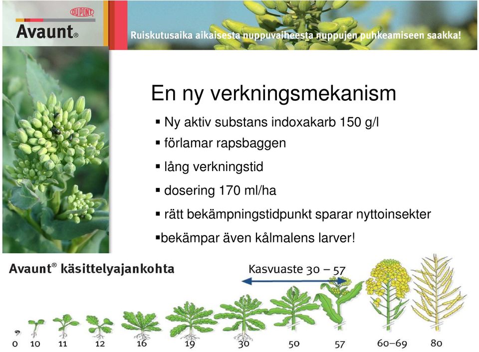 verkningstid dosering 170 ml/ha rätt