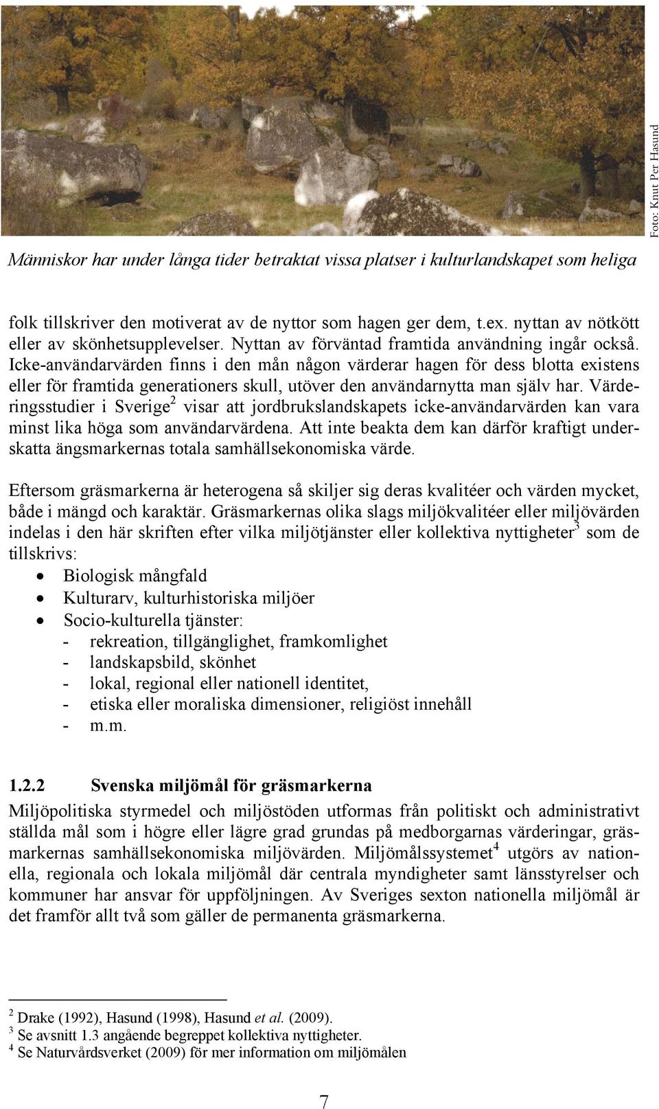 Icke-användarvärden finns i den mån någon värderar hagen för dess blotta existens eller för framtida generationers skull, utöver den användarnytta man själv har.