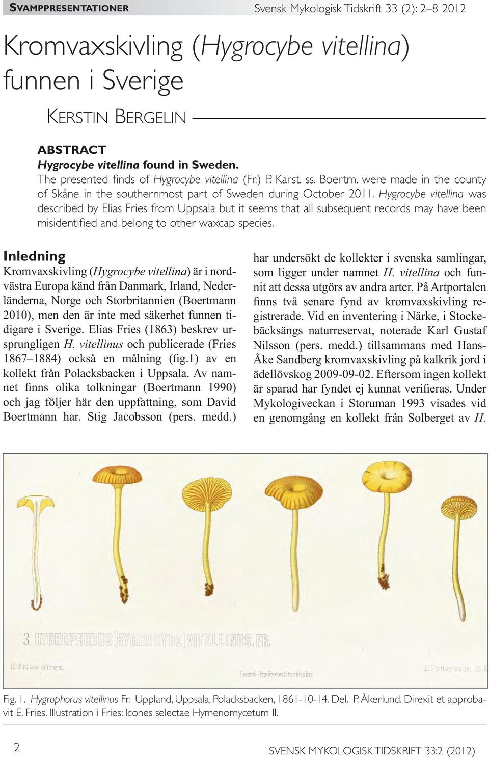 Hygrocybe vitellina was described by Elias Fries from Uppsala but it seems that all subsequent records may have been misidentified and belong to other waxcap species.