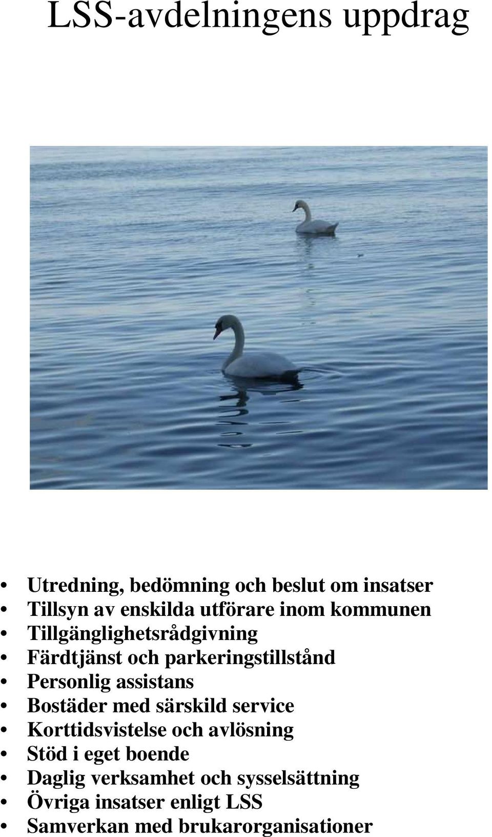Personlig assistans Bostäder med särskild service Korttidsvistelse och avlösning Stöd i eget
