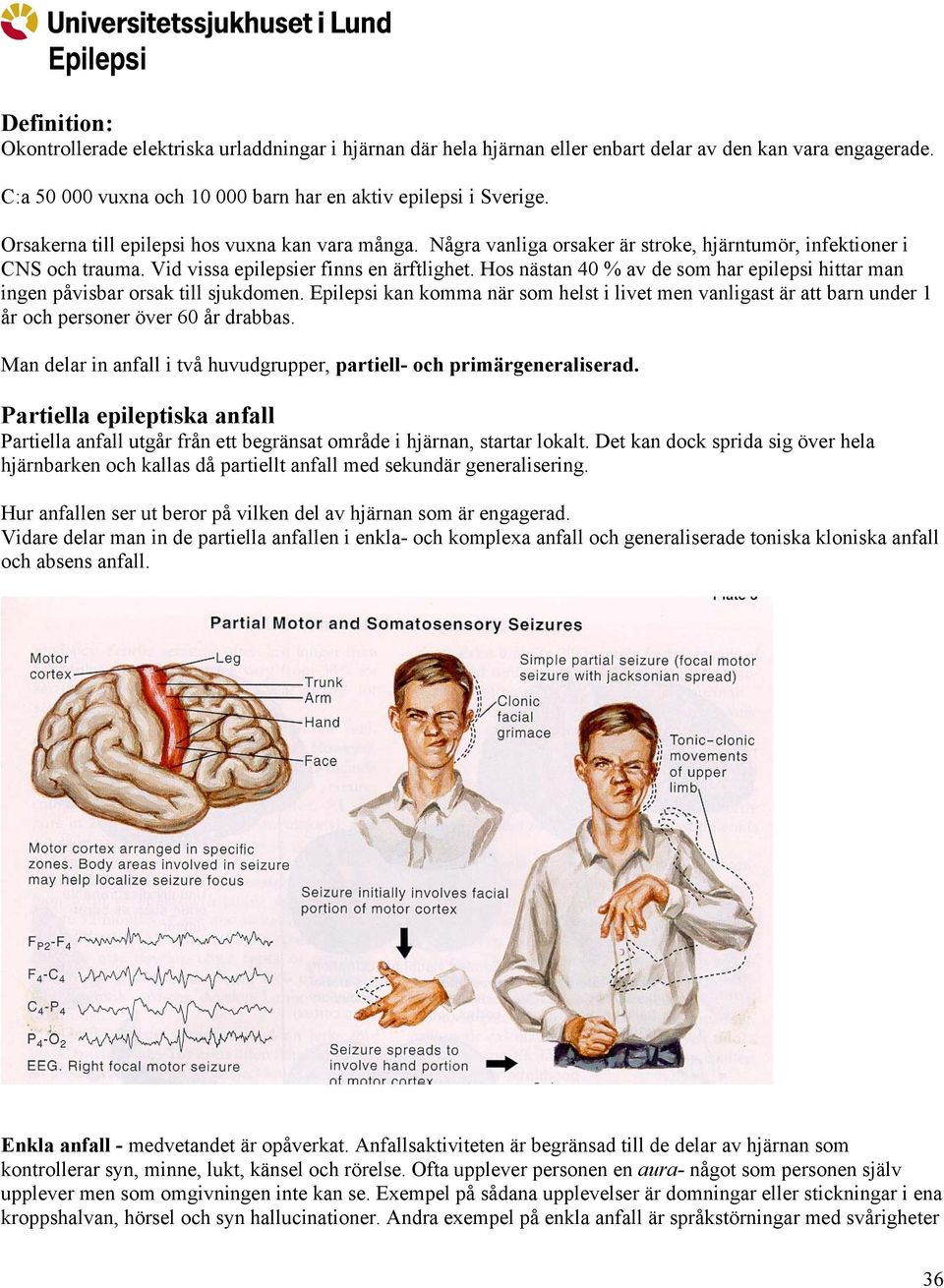 Hos nästan 40 % av de som har epilepsi hittar man ingen påvisbar orsak till sjukdomen. Epilepsi kan komma när som helst i livet men vanligast är att barn under 1 år och personer över 60 år drabbas.