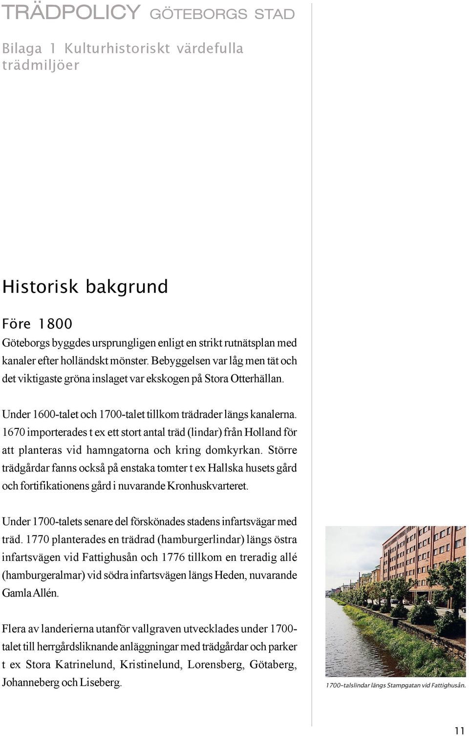 1670 importerades t ex ett stort antal träd (lindar) från Holland för att planteras vid hamngatorna och kring domkyrkan.