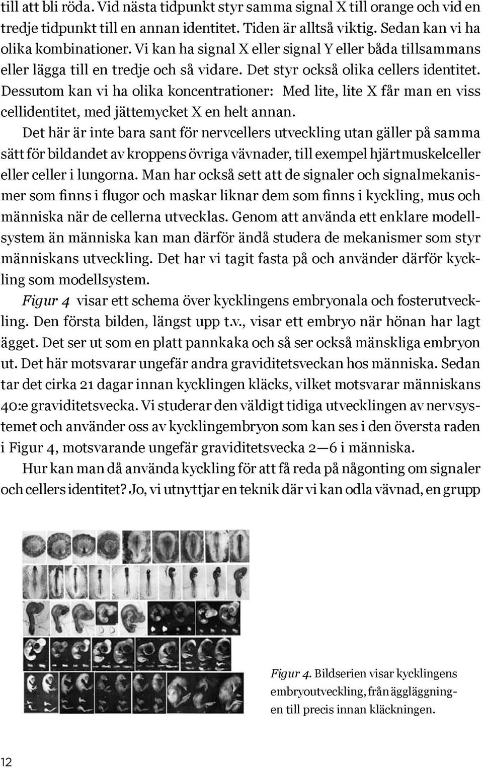 Dessutom kan vi ha olika koncentrationer: Med lite, lite X får man en viss cellidentitet, med jättemycket X en helt annan.