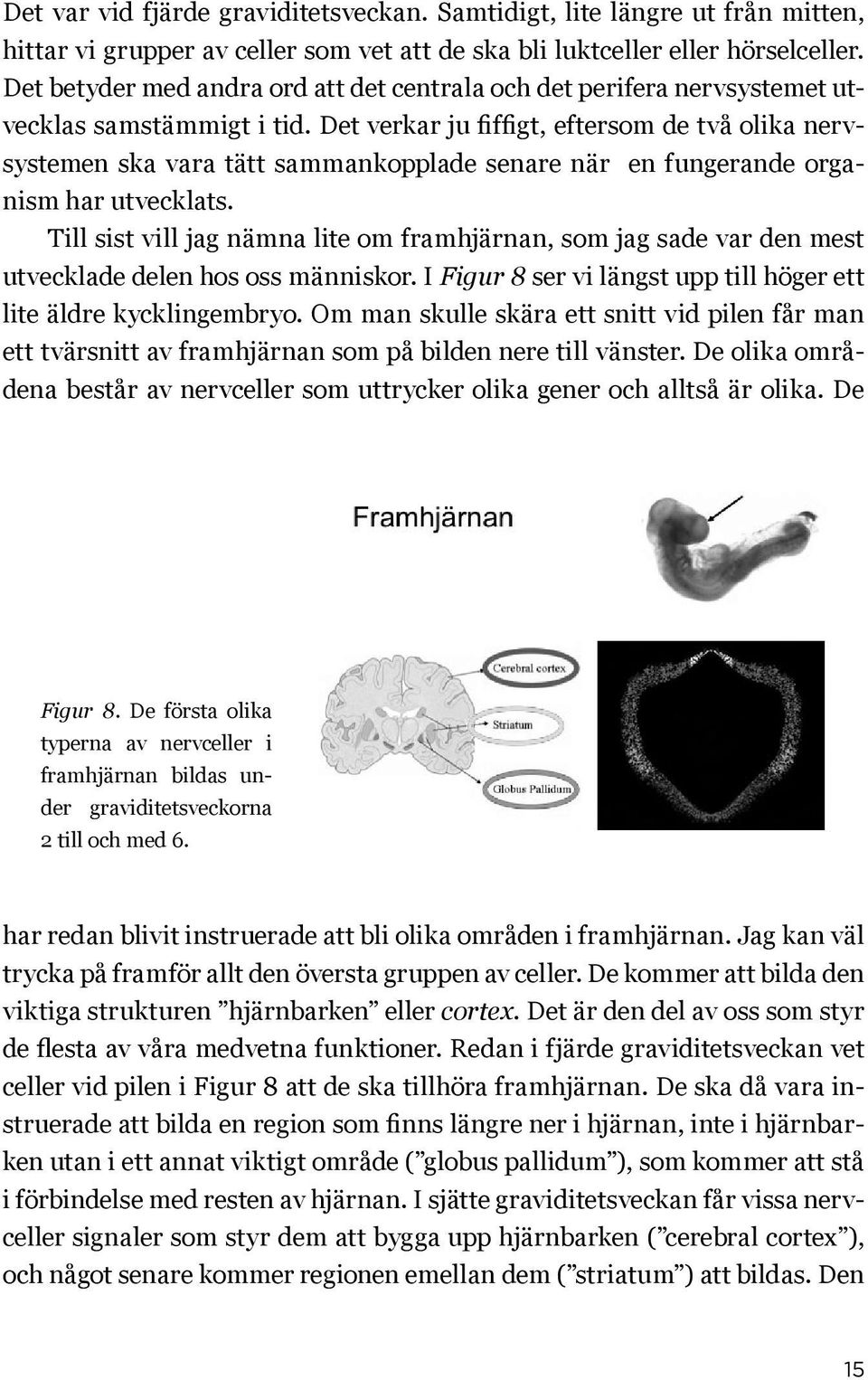 Det verkar ju fiffigt, eftersom de två olika nervsystemen ska vara tätt sammankopplade senare när en fungerande organism har utvecklats.