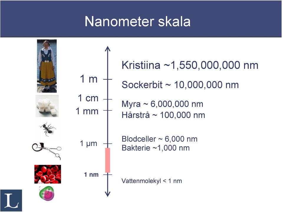 ~ 6,000,000 nm Hårstrå ~ 100,000 nm 1 μm