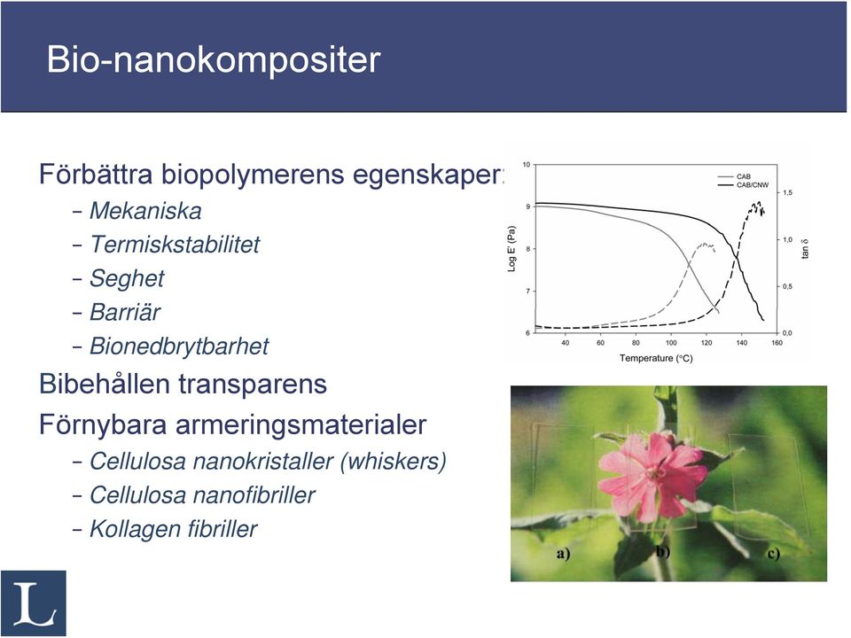 Bibehållen transparens Förnybara armeringsmaterialer