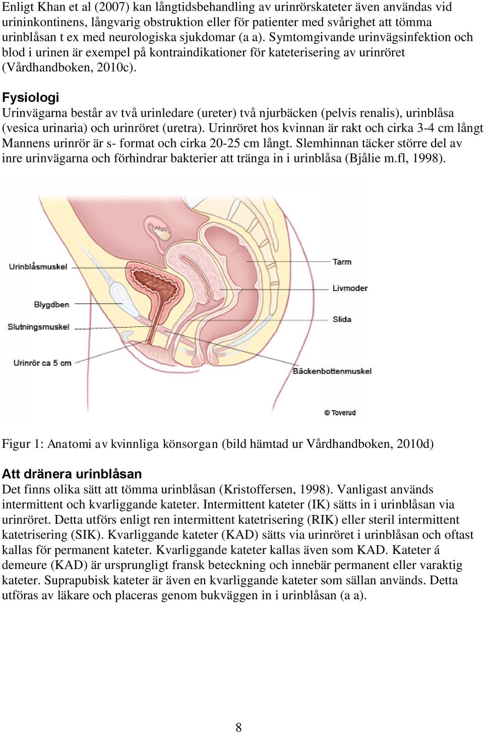 Fysiologi Urinvägarna består av två urinledare (ureter) två njurbäcken (pelvis renalis), urinblåsa (vesica urinaria) och urinröret (uretra).