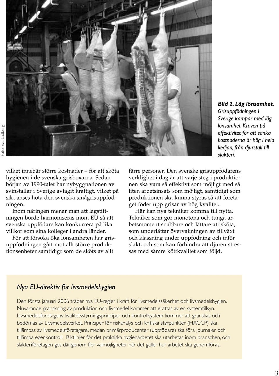 Sedan början av 1990-talet har nybyggnationen av svinstallar i Sverige avtagit kraftigt, vilket på sikt anses hota den svenska smågrisuppfödningen.