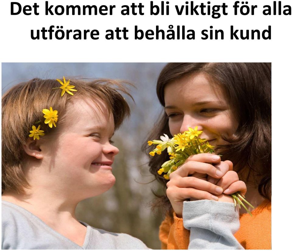 alla utförare