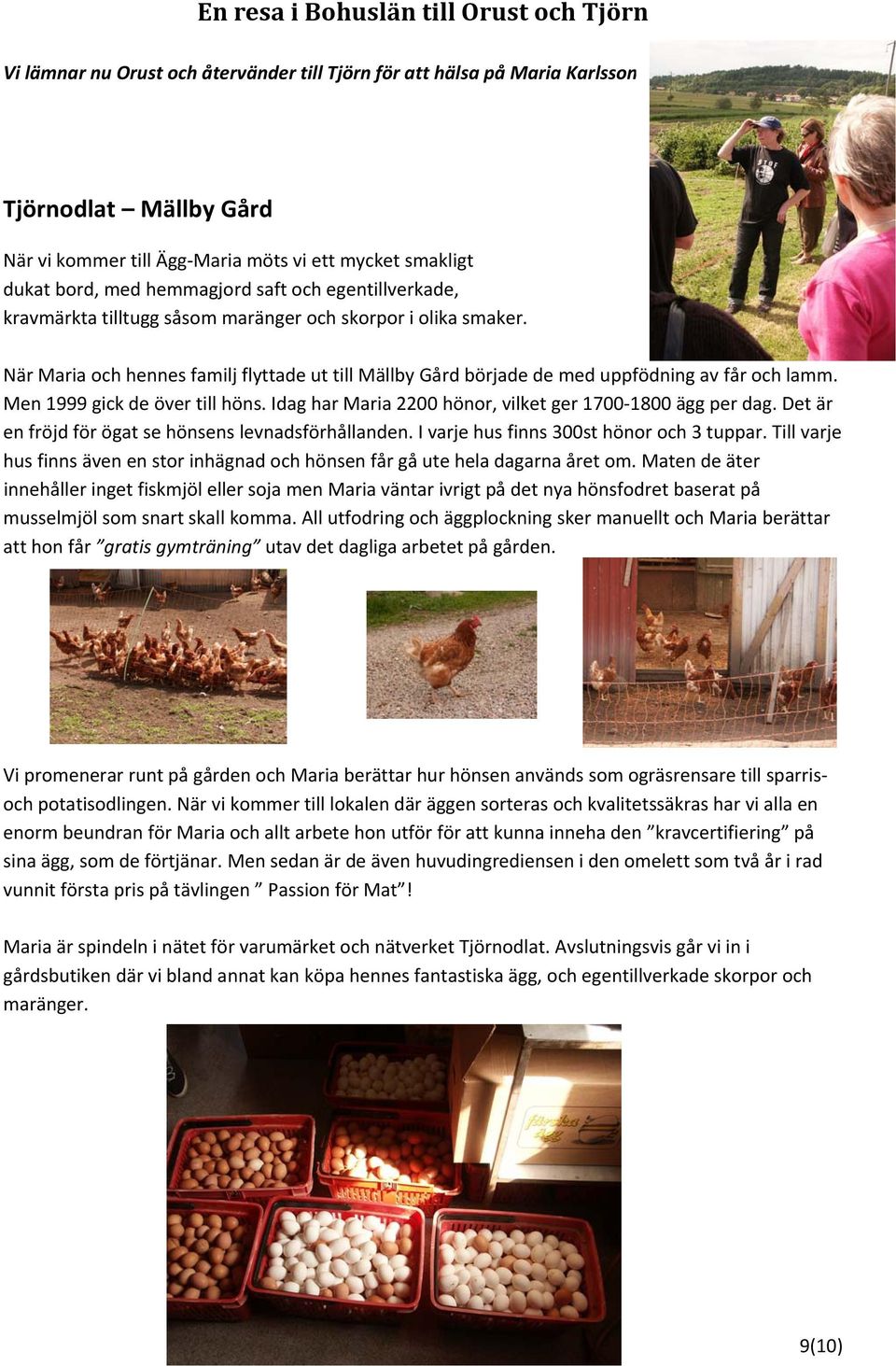 När Maria och hennes familj flyttade ut till Mällby Gård började de med uppfödning av får och lamm. Men 1999 gick de över till höns. Idag har Maria 2200 hönor, vilket ger 1700 1800 ägg per dag.