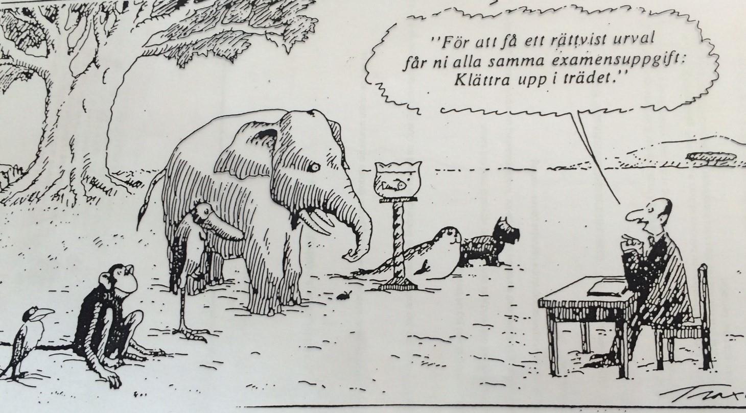 Har jag möjlighet att göra det jag är bäst på varje dag?