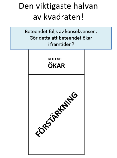 beteendet trycker på knappen, det sker beroende av beteendet ( trycker på knappen = ringandet upphör direkt; trycker inte på knappen = ringandet fortsätter ett tag till).