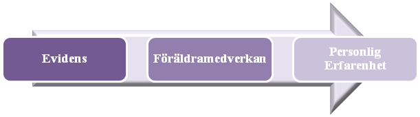 5 DISKUSSION 5.