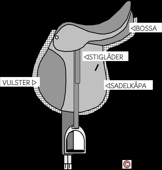 SADELNS DELAR Sadeln kan vara antingen av läder eller syntetiskt material. Det finns olika sadlar för olika ändamål. De vanligaste sadlarna är allroundsadel, dressyrsadel och hoppsadel.