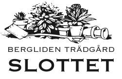 Välkommen Till oss På Slottet FINASTE SOMMARBLOMMORNA FRÅN VÅRA EGNA ODLINGAR PERENNER