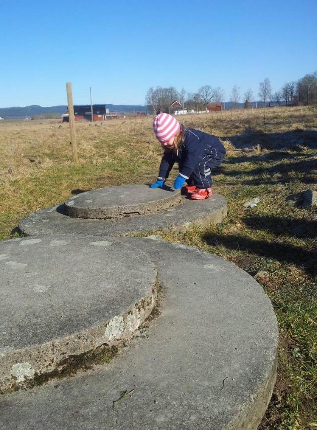 Framtid Krav som gör miljönytta Effektivare tillsyn