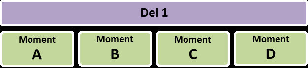 Kompetensutvecklingsmodellen Varje modul