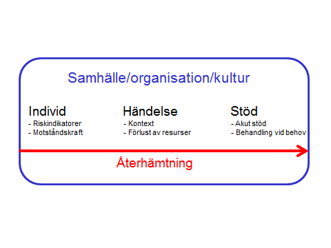 får traditionella sorgesymtom men återhämtar sig också över tid. En mindre grupp, 10 15 procent (Mancini et al. 2011) kan dock utveckla ihållande komplexa sorgreaktioner.