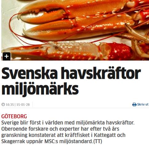 Vad ger effekt i media?