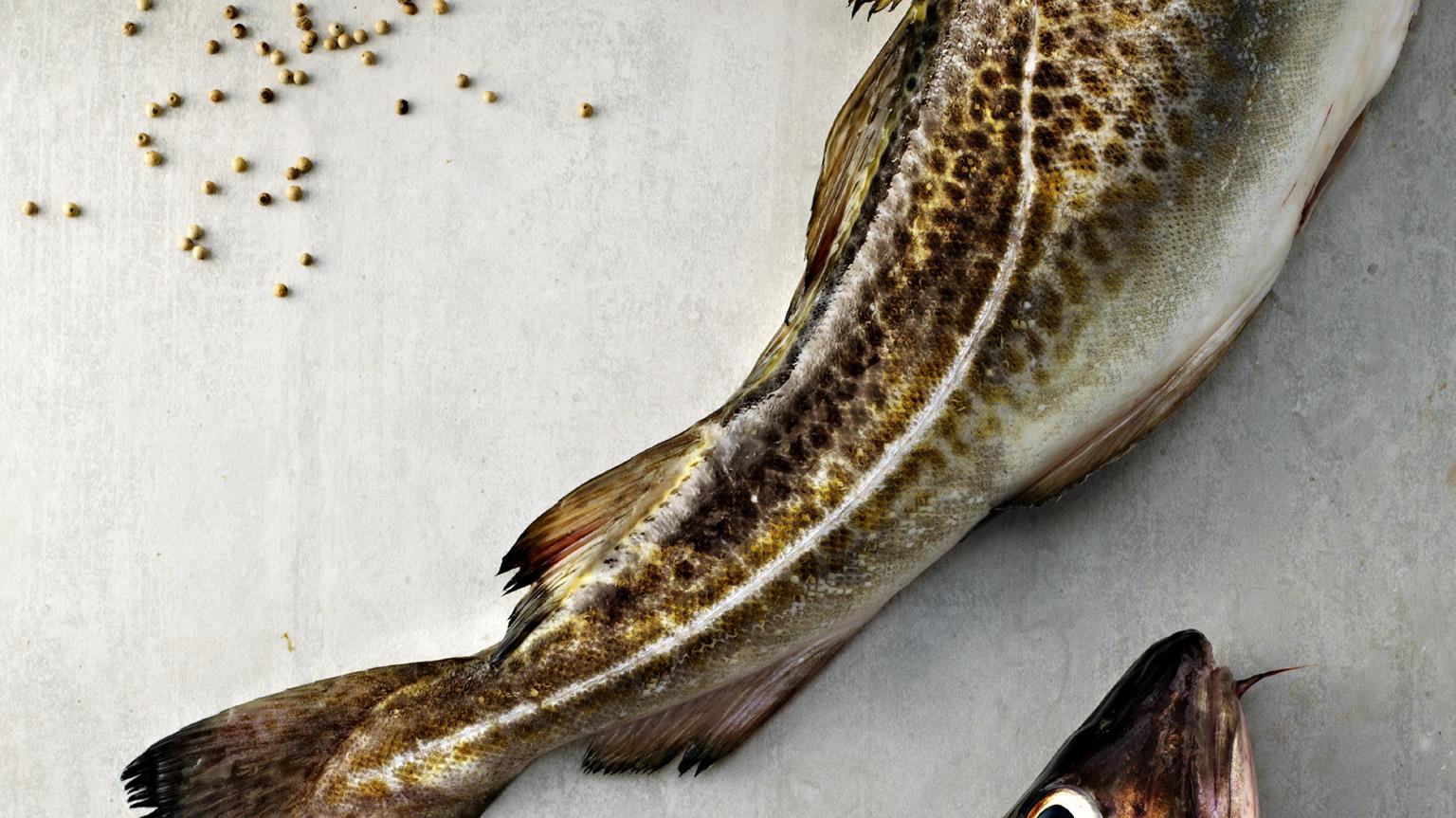 DET BÄSTA MILJÖVALET FÖR FISK OCH SKALDJUR Marine Stewardship Council KONSUMENTUNDERSÖKNING 2014