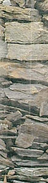 Granite gneiss Schist Volcano-sedimentary Sandstone Limestone Marly-limy Sandy-marly-limy Calcareous-sandstone ALSACE En mosaik av 13 terroirer Marly-sandstone Clayey-marly Lowland, talus