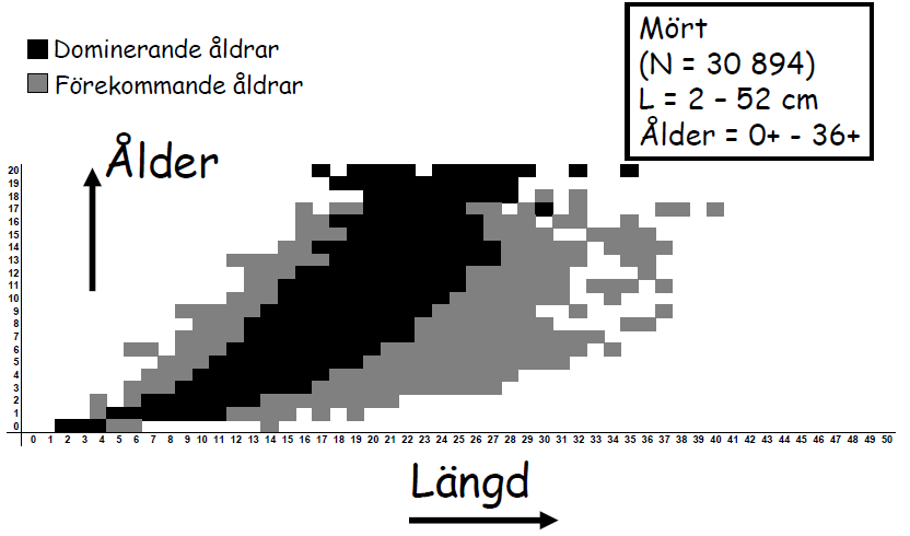 Storlek- och åldersfördelning Nedan presenteras diagram över medellängden hos olika arter vid olika åldrar. Diagrammen grundar sig på SLU Aquas samlade åldersdata.