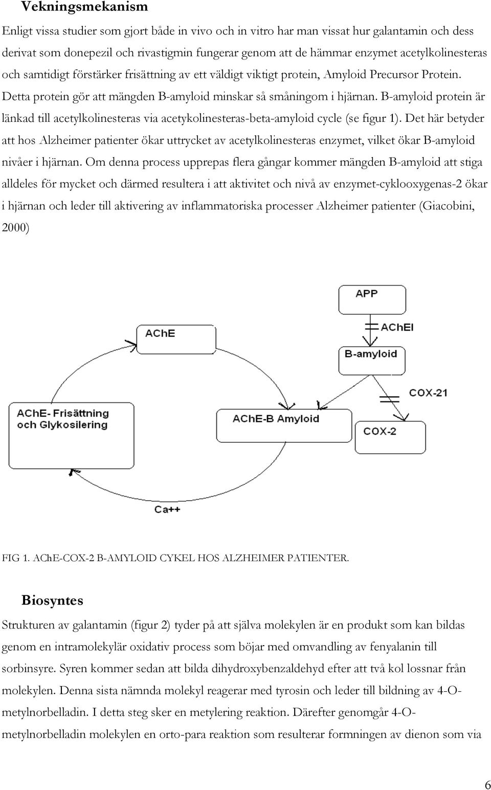 B-amyloid protein är länkad till acetylkolinesteras via acetykolinesteras-beta-amyloid cycle (se figur 1).