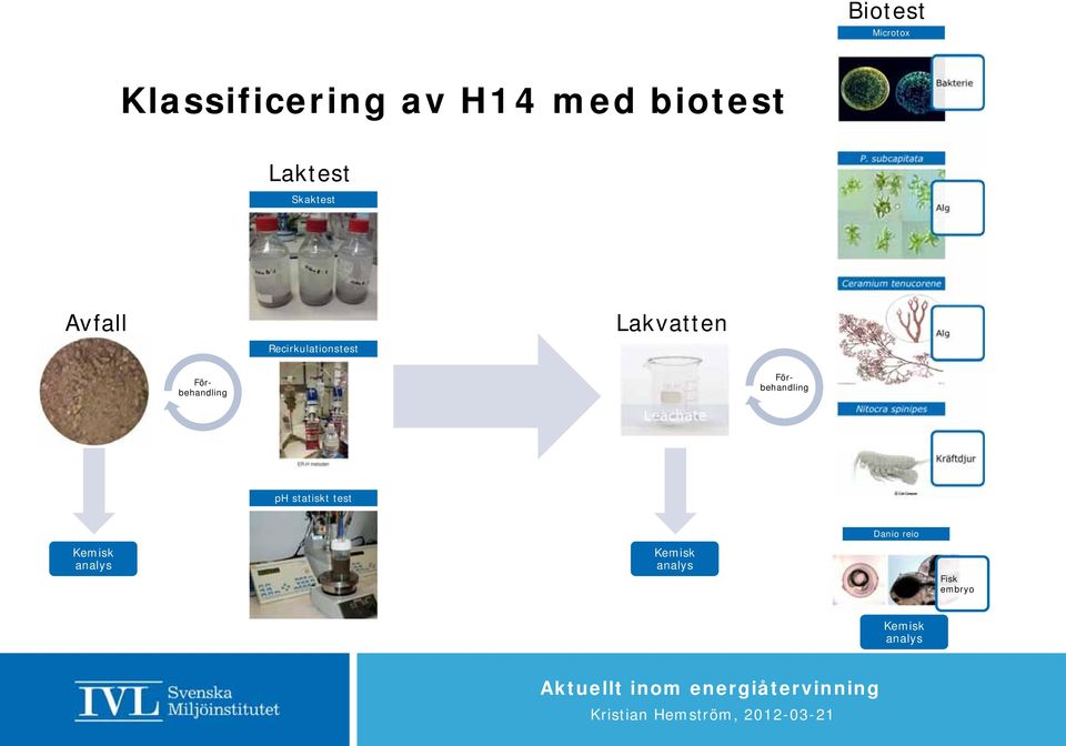 Lakvatten Alg Förbehandling Förbehandling Leachate Nitocra spinipes