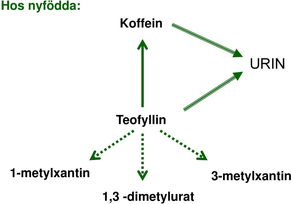 Teofyllin