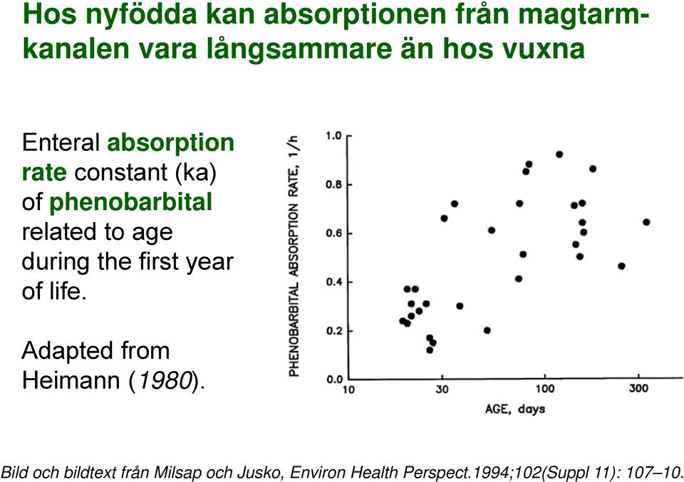 during the first year of life. Adapted from Heimann (1980).