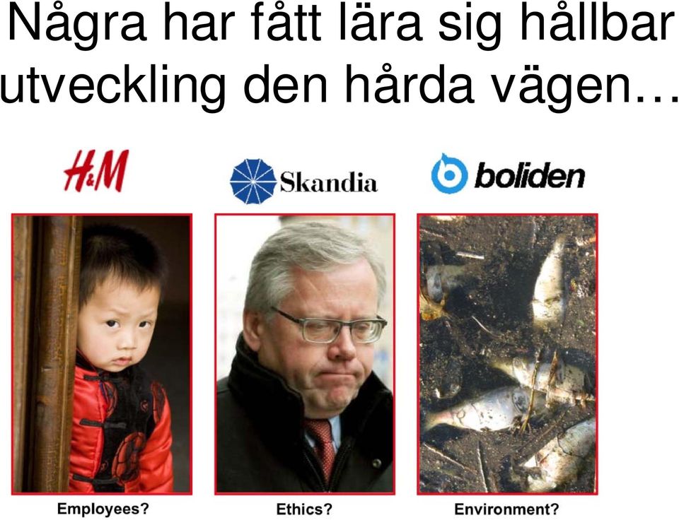 hållbar