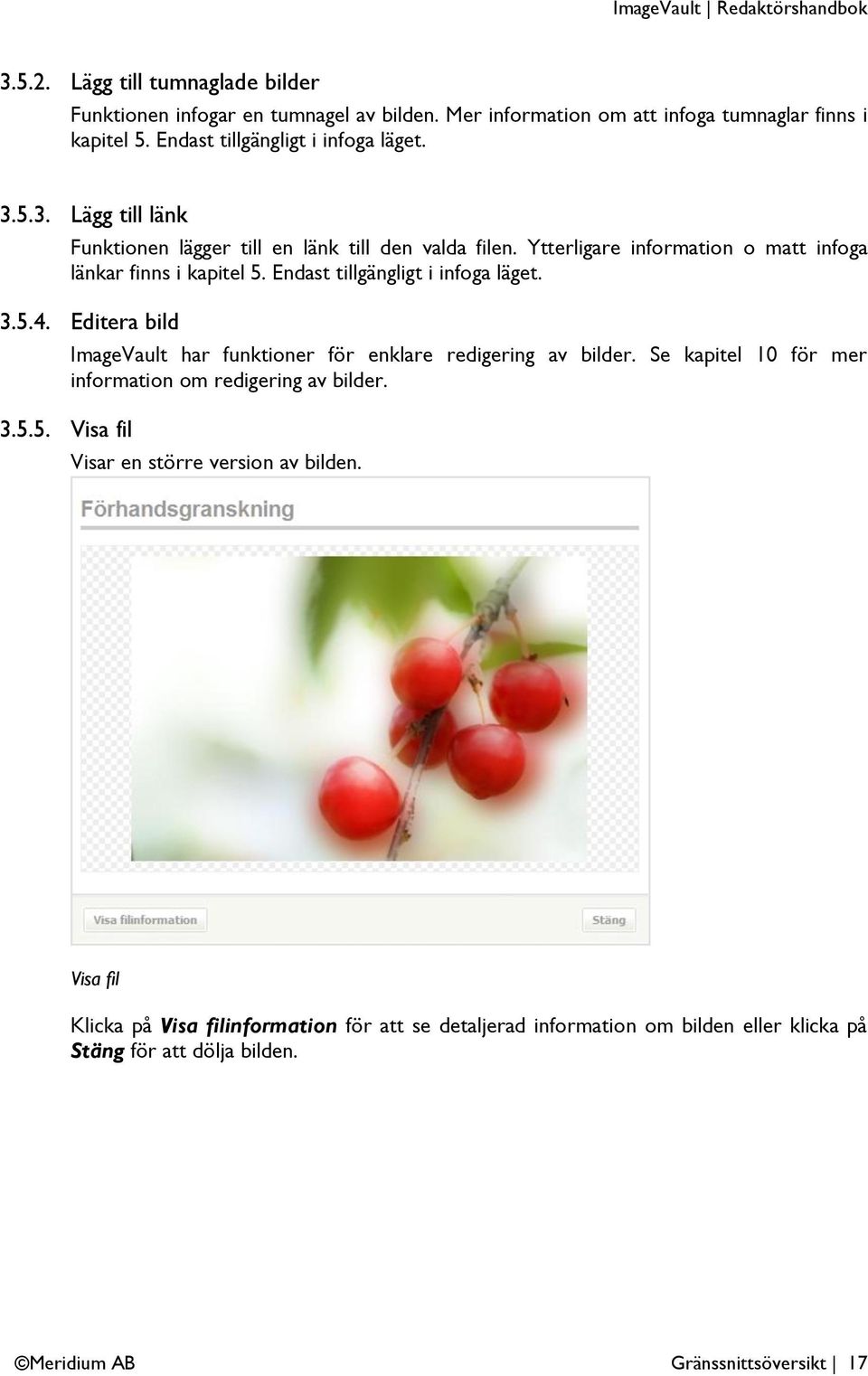 5.4. Editera bild 3.5.5. Visa fil ImageVault har funktioner för enklare redigering av bilder. Se kapitel 10 för mer information om redigering av bilder.