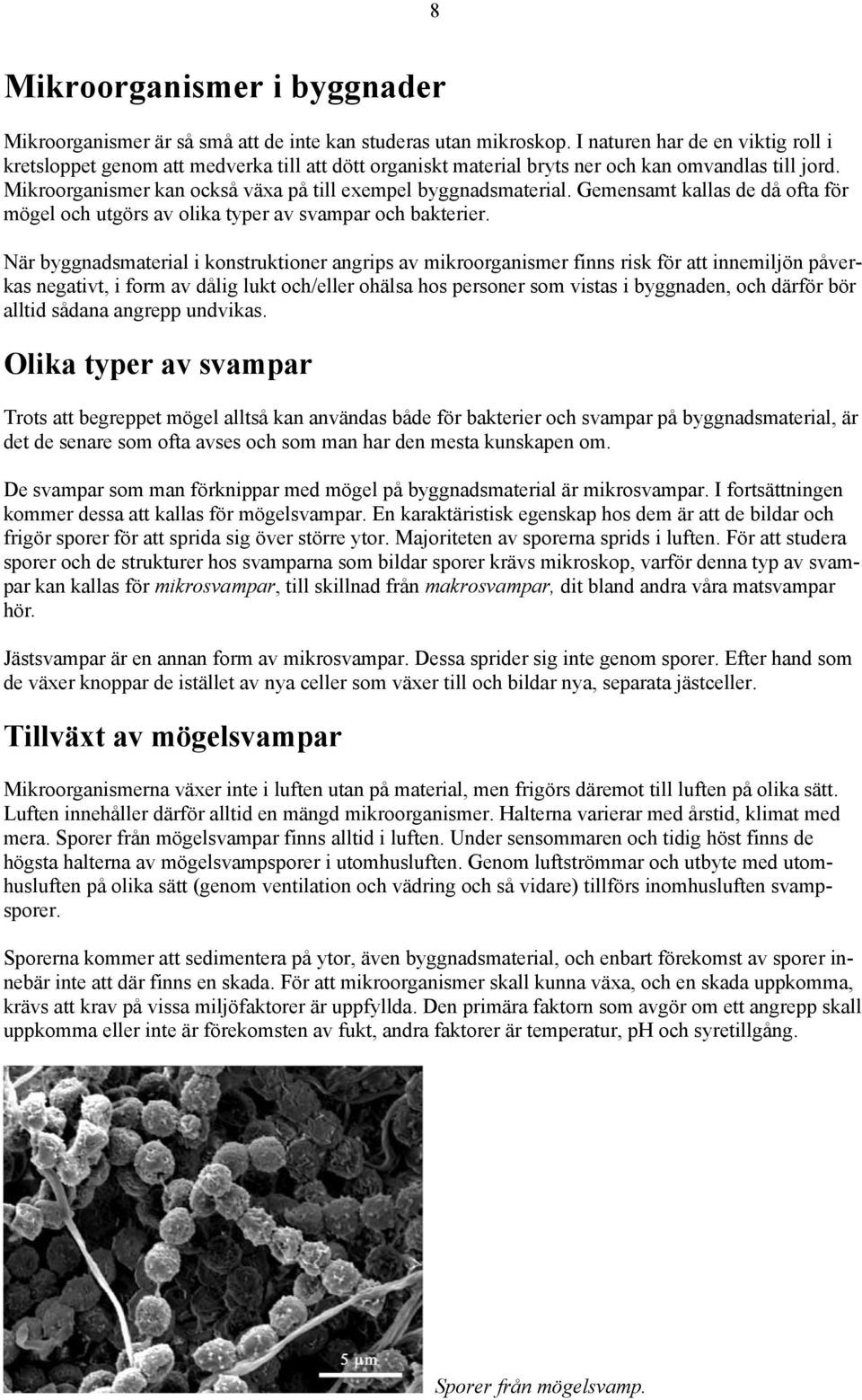 Mikroorganismer kan också växa på till exempel byggnadsmaterial. Gemensamt kallas de då ofta för mögel och utgörs av olika typer av svampar och bakterier.