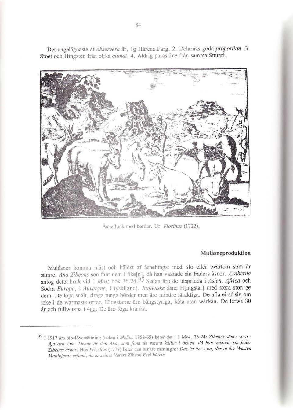 Araberna antog detta bruk vid 1 ifos: bok 36.24.95 Sedan äro de utspridda i Asien, Africa och Södra Europa, i Auver-qne, i tyskl[and]. ltalienske åsne H[ingstar] med stora ston ge dem.