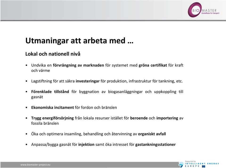 Förenklade tillstånd för byggnation av biogasanläggningar och uppkoppling till gasnät Ekonomiska incitament för fordon och bränslen Trygg energiförsörjning