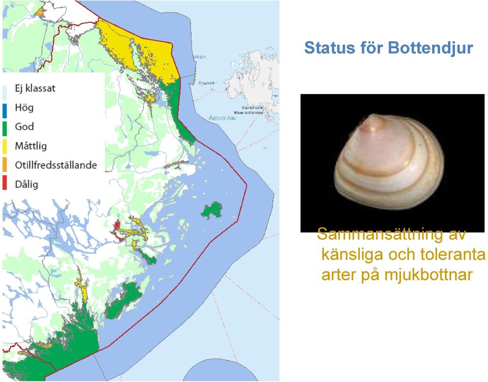 Sammansättning av